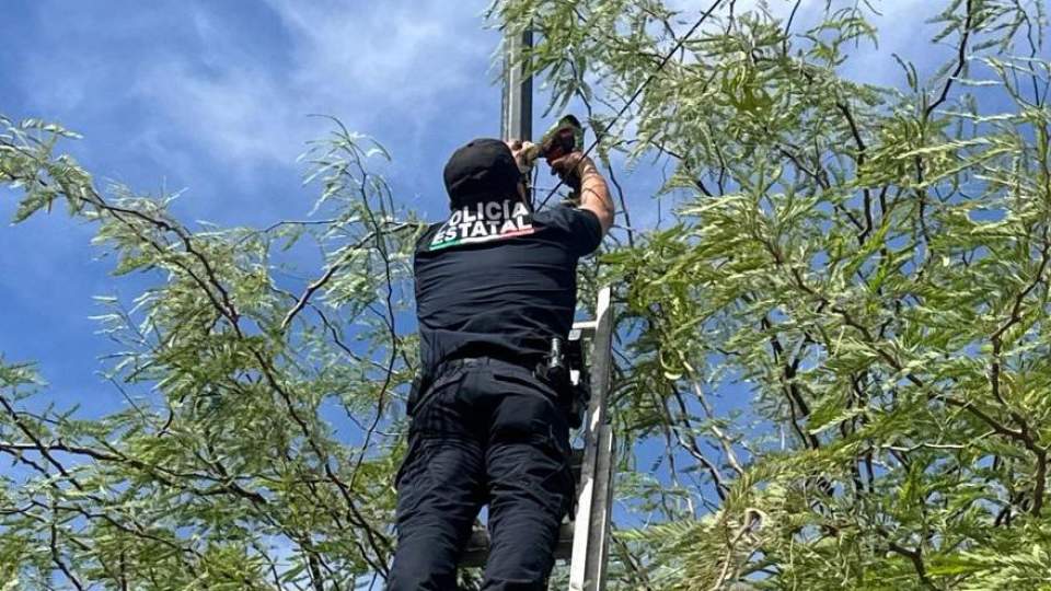 Asegura Gobierno de Sonora y SEMAR cámaras de videovigilancia durante operativo en Hermosillo